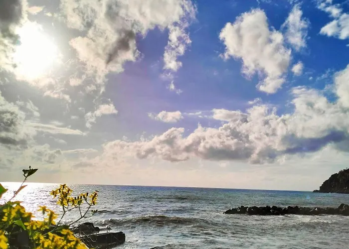 Margherita 20 Steps From The