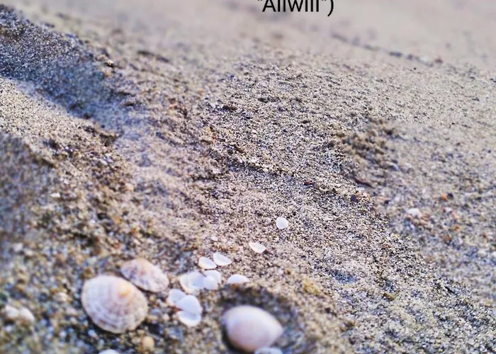 Apartamento Margherita 20 Steps From The