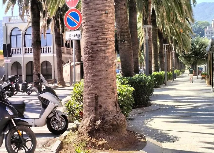 Margherita 20 Steps From The