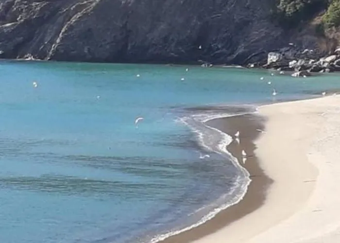 Margherita 20 Steps From The *