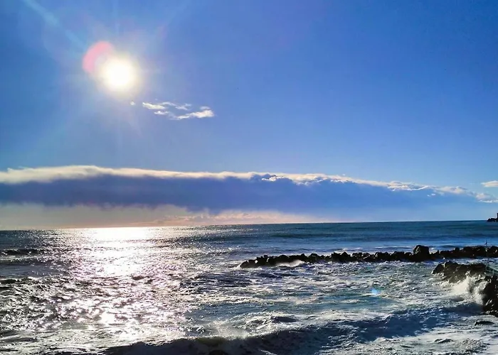 Margherita 20 Steps From The