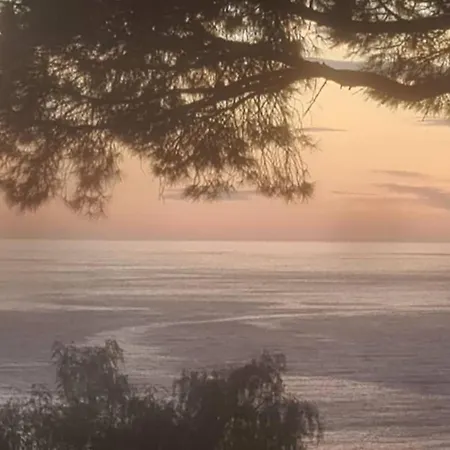 Apartment Margherita 20 Steps From The Moneglia