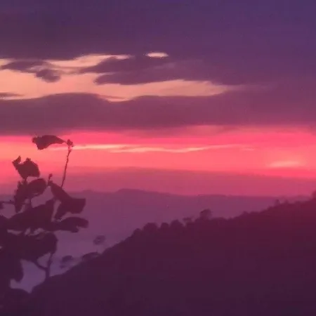 Margherita 20 Steps From The Moneglia