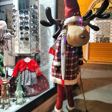 Margherita 20 Steps From The Apartment