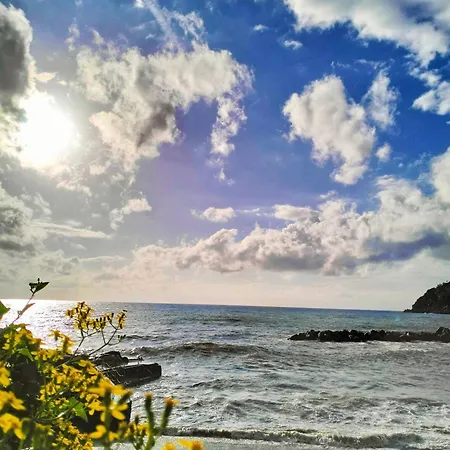 Margherita 20 Steps From The