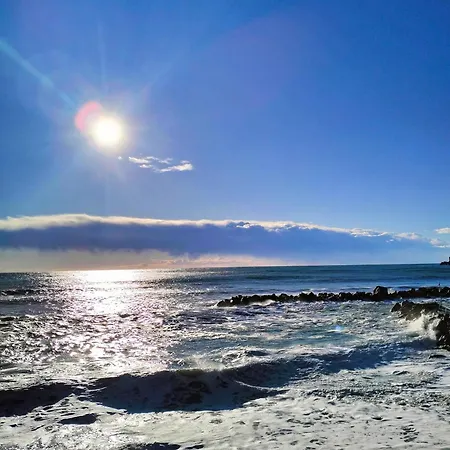 Margherita 20 Steps From The